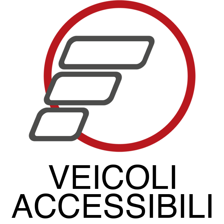 Allestimenti auto disabili